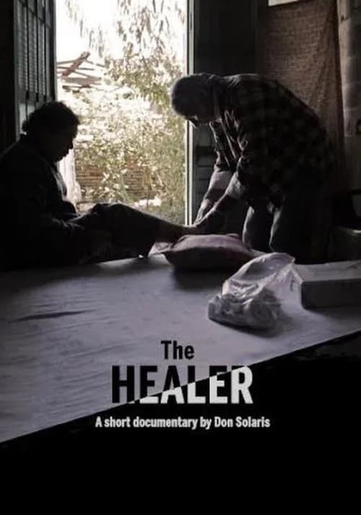 The Healer movie where to watch stream online